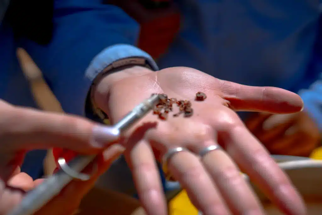 Proyecto de tierras raras de Aclara obtiene aprobación ambiental e inicia una nueva etapa de trabajo en Biobío