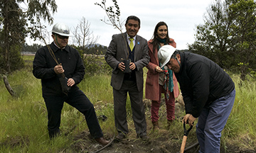 Nuevos árboles nativos en humedales de CAP Acero en Talcahuano