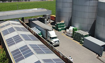 Cintac Solar construye en la región del Maule el más importante proyecto fotovoltaico del sector agrícola