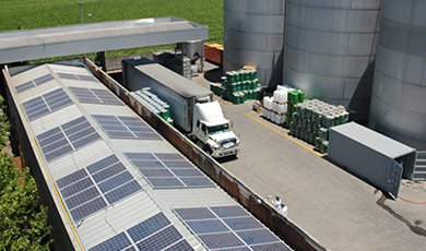 Cintac Solar construye en la región del Maule el más importante proyecto fotovoltaico del sector agrícola