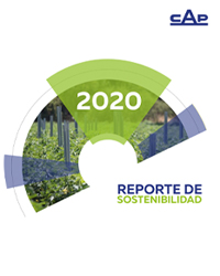 Reporte de Sustentabilidad 2020