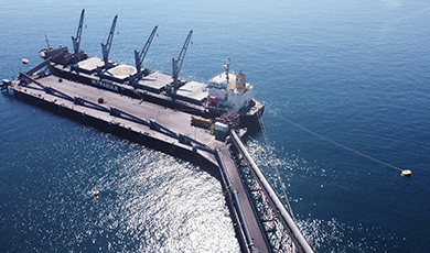 Puerto Las Losas realiza primer embarque mecanizado de pellets